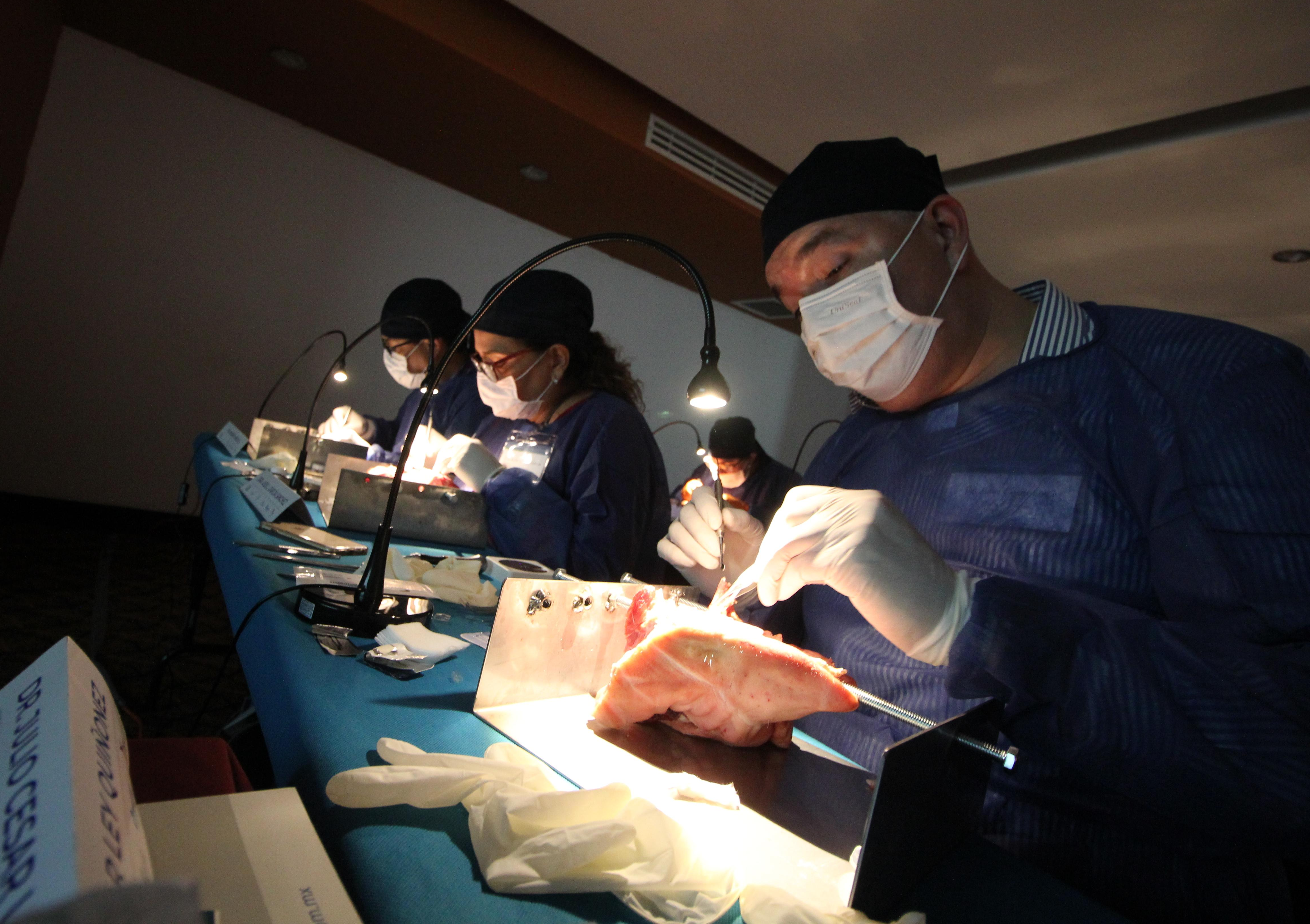 Curso de Plástica Periodontal