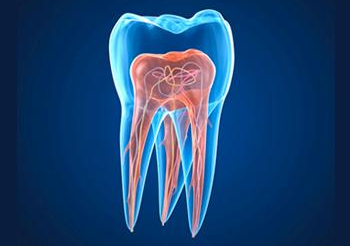 XXX ENCUENTRO DE POSGRADOS EN ENDODONCIA