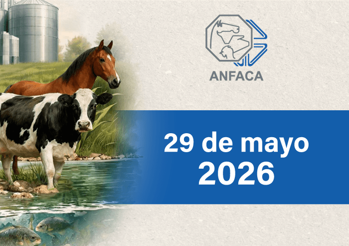 TRADICIONAL COMIDA ANFACA 2026